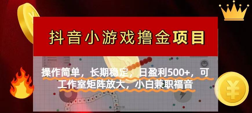 （14290期）【抖音小游戏发行人计划项目】操作简单，长期稳定，日盈利500+，可工作...-轻创终点站